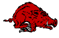 GO HOGS